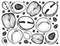 Hand Drawn Background of Peach and Double Coconut Fruits Royalty Free Stock Photo