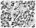 Hand Drawn Background of Sacha Peanuts and Ginkgo Biloba Plants