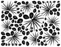 Hand Drawn Background of Saw Palmetto Berries