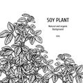 Hand drawn background with soy plant. Vector illustration Royalty Free Stock Photo