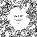 Hand drawn background with soy plant. Vector illustration Royalty Free Stock Photo