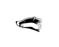 Hand drawn badger`s head