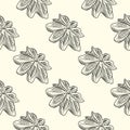 Hand drawn badian seamless pattern . Dry anise backdrop. Engraving vintage style.