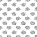Hand drawn badian seamless pattern on white background. Dry anise backdrop.