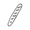 Hand-drawn baguette doodle. French bread