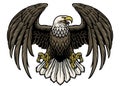 Hand drawn bald eagle Royalty Free Stock Photo
