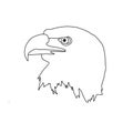 Hand drawn Bald eagle sketch. Bald eagle illustration, Bald eagle , Bald eagle art Royalty Free Stock Photo