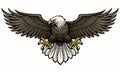 Hand drawn bald eagle spreading the wings Royalty Free Stock Photo