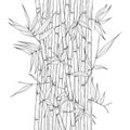 Hand drawn bamboo illustration. Royalty Free Stock Photo