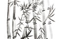 Hand drawn bamboo leaves and branch set, ink painting. Traditional dry calligraphic brush painting. isolated on white background