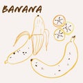 Hand drawn banana fruit multicolor line art vector illustration. Colorful line art exotic fruit design Royalty Free Stock Photo