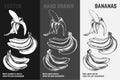 Hand drawn bananas. Fruits sketch vector set Royalty Free Stock Photo