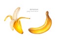 Hand drawn banana set raster illustration.