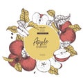 Hand drawn banner of aopples. Summer harvest. Vector vintage engraved style. Autumn garden fruits and berries. Fall