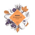 Hand drawn banner of autumn harvest fruits, vegetables. Vector vintage engraved style. Pumpkin, plum, oak, mapple