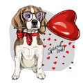 Hand drawn beagle with heart shape baloon. Vector Valentine day greeting card. Cute colorful dog wears glasses and