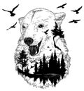 Hand drawn bear portrait, wildlife concept