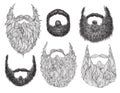 Hand Drawn Beard Set