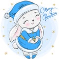 Hand drawn beautiful cute winter rabbit girl with the words Merry Christmas.