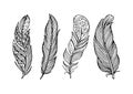 Hand drawn beautiful feather collection