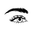 Hand-drawn beautiful female eye, sketch. Makeup, beauty salon symbol. Royalty Free Stock Photo