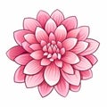 Hand drawn of beautiful pink Dahlia flowers with leaf. Botanical illustration isolated on white background. Royalty Free Stock Photo