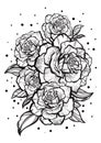 Hand-drawn Beautiful Roses. Tattoo Art. Graphic Vintage Composition. Vector Illustration Isolated. T-shirts, Print, Posters