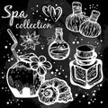 Hand-drawn beautiful spa icons over the blackboard. Vintage chalk. High-detailed spa graphic realistic elements isolated.