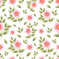 Hand-drawn beautiful summer and spring dog-rose flower seamless pattern. Flower and leaf elements for fabric and textile Royalty Free Stock Photo