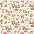 Hand-drawn beautiful summer and spring peony flower seamless pattern. Flower and leaf elements for fabric and textile Royalty Free Stock Photo