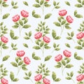 Hand-drawn beautiful summer and spring peony flower seamless pattern. Flower and leaf elements for fabric and textile Royalty Free Stock Photo