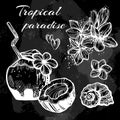 Hand-drawn beautiful tropical icons over the blackboard. Vintage chalk. High-detailed graphic realistic elements isolated. Royalty Free Stock Photo