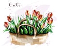 Hand drawn beautiful tulips bouquet. Cute flowers. Sketch. Fashion set.