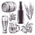 Hand drawn beer. Mug, barrel and beer glass and bottle, wheat or malt ears, hops. Vintage engraving sketch isolated