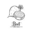 Hand drawn beet icon.