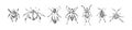 Hand drawn beetles collection. Sketch style vector illustration. Black isolated bugs insect, design elements on white background Royalty Free Stock Photo