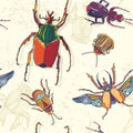 Hand drawn Beetles seamless pattern. Can be used for postcard, t