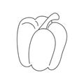 Hand drawn bell pepper.