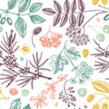 Hand drawn berries backdrop in engraved style. Wild berries and flowers seamless pattern. Hand drawing. Vintage forest plants Royalty Free Stock Photo