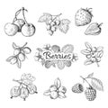 Hand drawn berries. Cherry blueberry strawberry blackberry vintage drawing, berry sketch drawing. Vector graphic Royalty Free Stock Photo