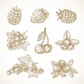 Hand Drawn Berries Vector Illustrations Collection. Cherry, Red-Ribes, Currant, Cranberry, Strawberry and Elderberry