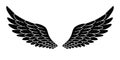 Hand drawn bird or angel grunge textured flapping wings. Hand drawn wings silhouette for t-shirt prints, tatoo design