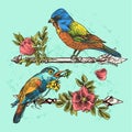 Hand drawn bird Royalty Free Stock Photo