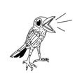 Hand drawn bird doodle Royalty Free Stock Photo