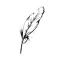 Hand drawn bird feather, Symbol of knowledge, writing and learning. Vector black and white illustration in vintage style