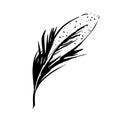 Hand drawn bird feather, Symbol of knowledge, writing and learning. Vector black and white illustration in vintage style