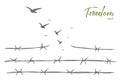 Hand drawn birds flying over broken barbed wire