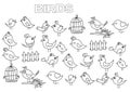 Hand drawn birds set. Coloring book page template. Royalty Free Stock Photo