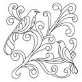 Hand-drawn 2 birds sitting on a branch. Coloring page for children. Vector illustration Royalty Free Stock Photo