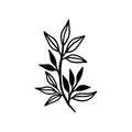 Hand drawn black botanical leaf branch illustration. Line art of nature floral leaves element for icon, clip art or logo